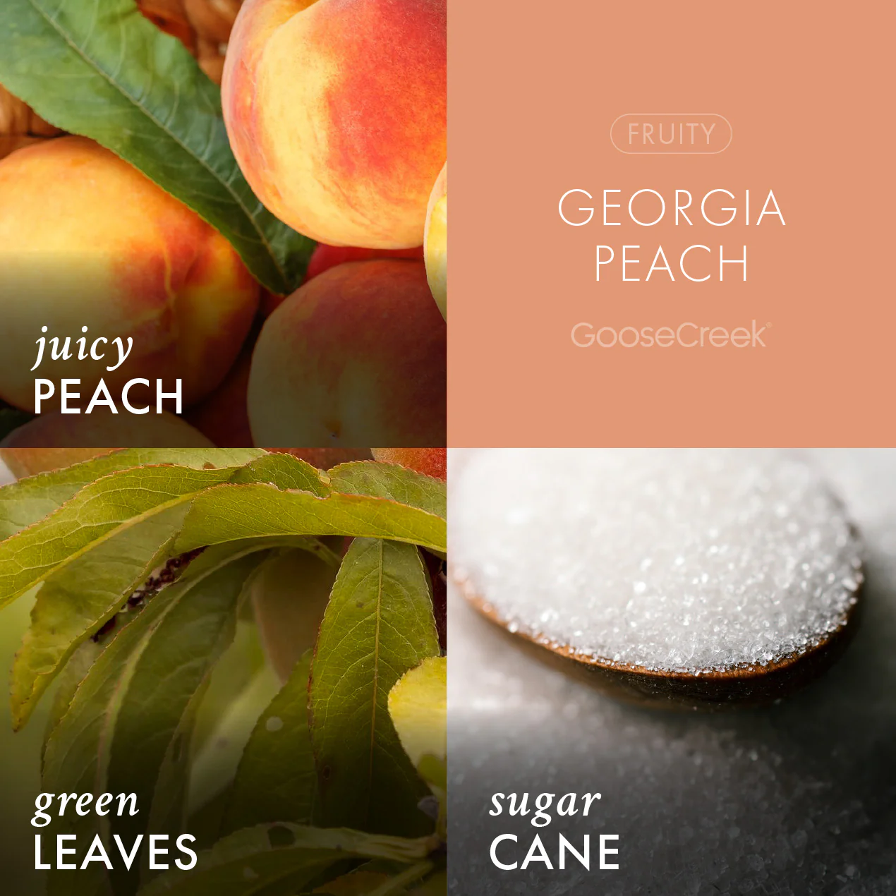 Georgia Peach Plug-In & Refill Bundle - Image 2