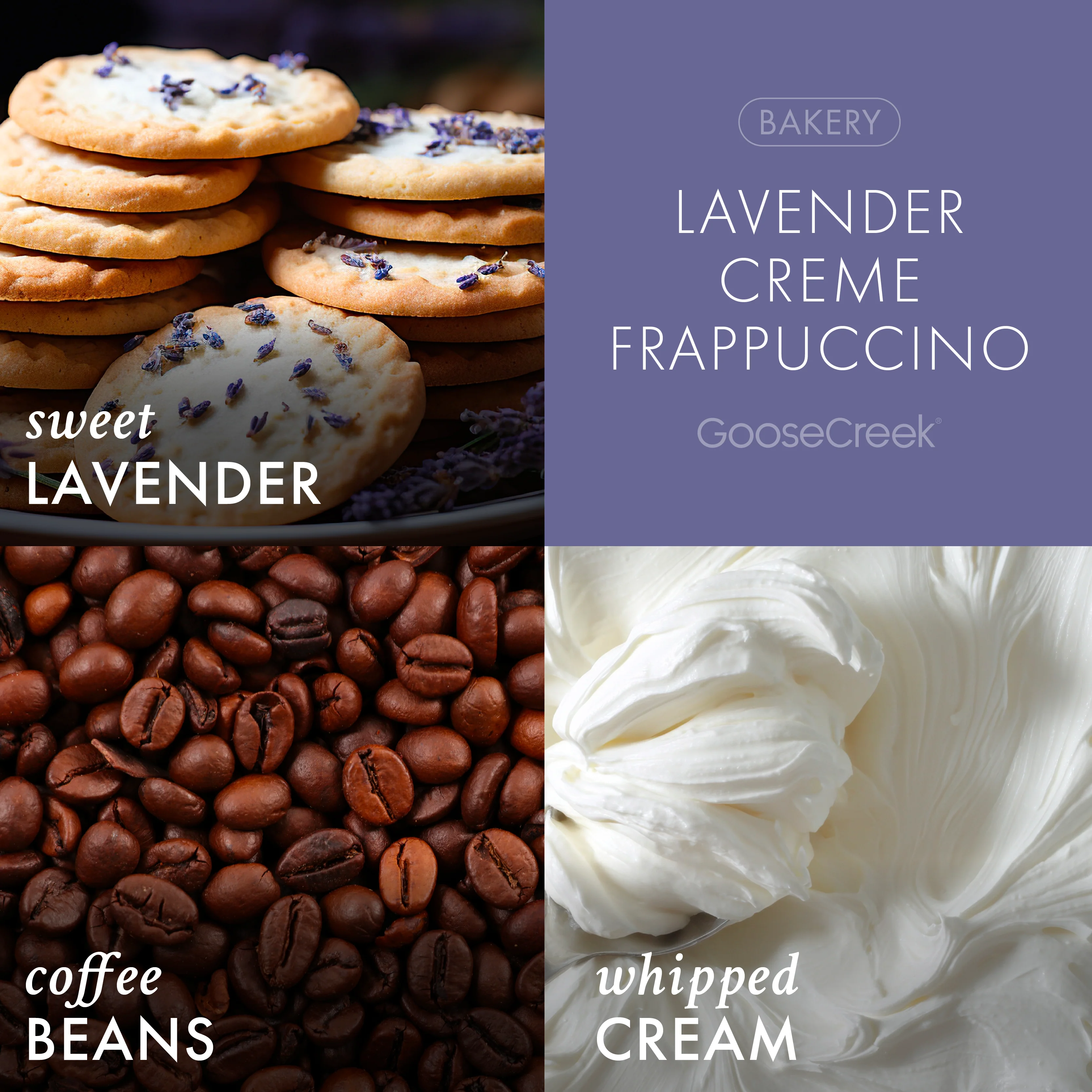 Lavender Creme Frappuccino 3-Wick Candle - Image 2