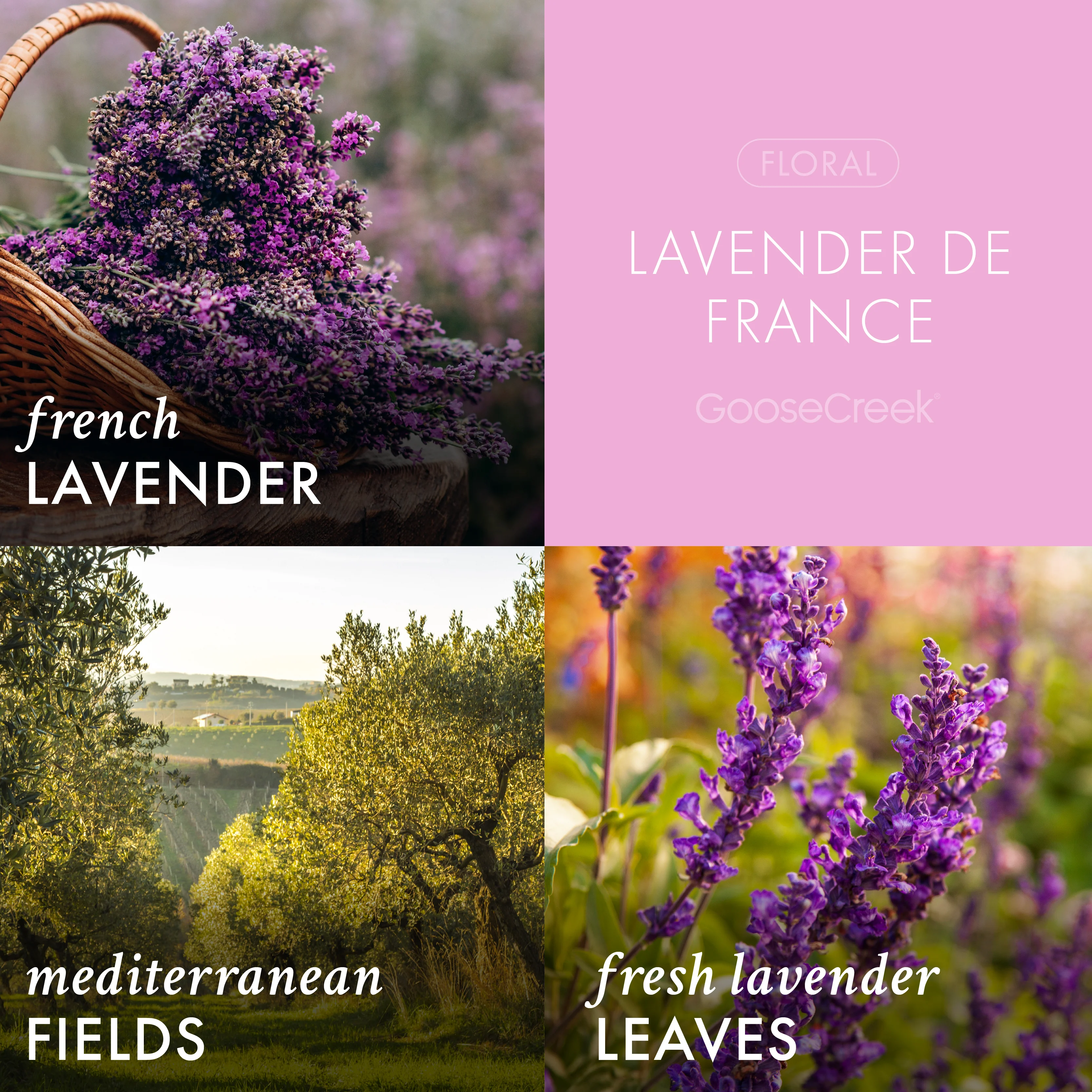 Lavender de France 3-Wick Candle - Image 2