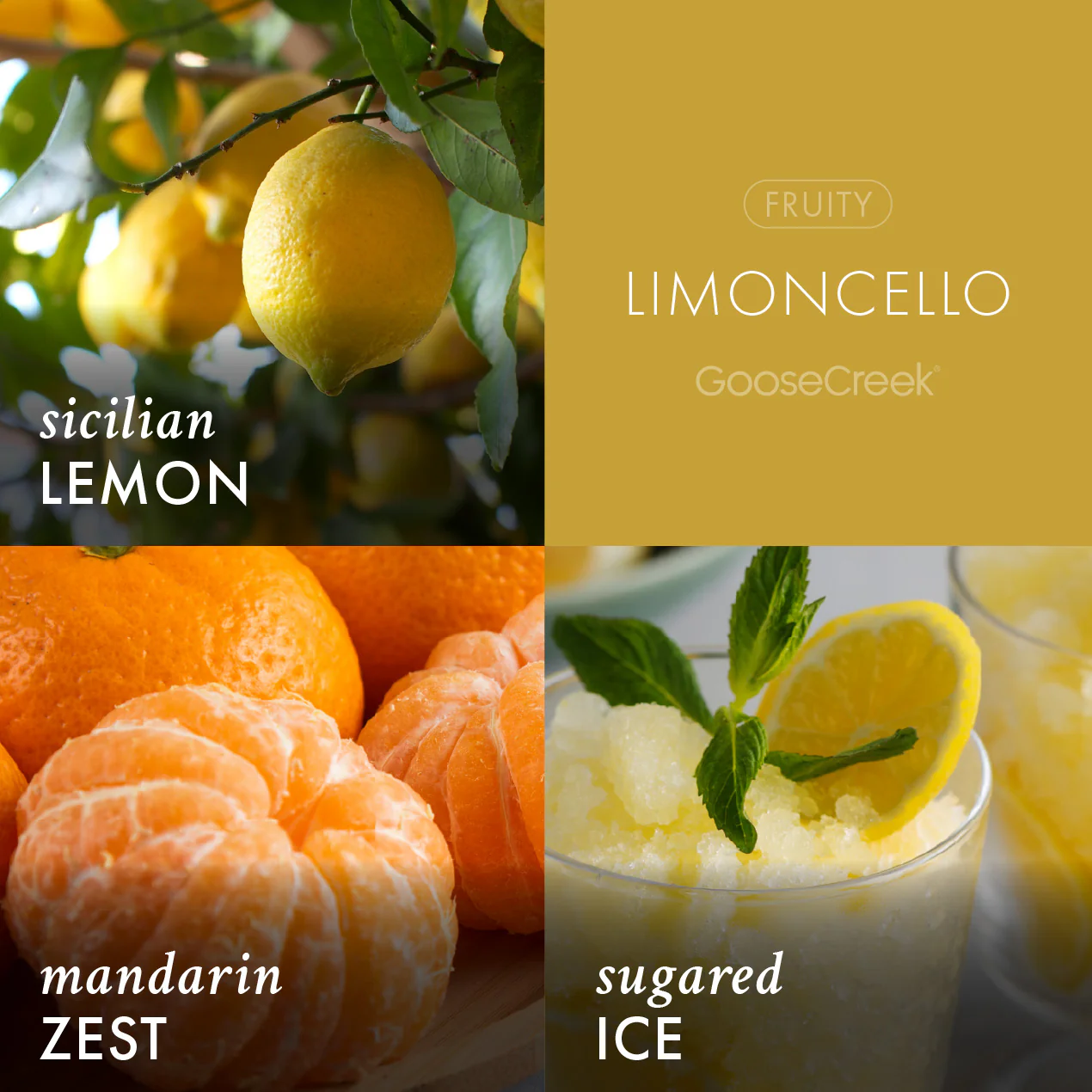 Limoncello Plug-In & Refill Bundle - Image 2