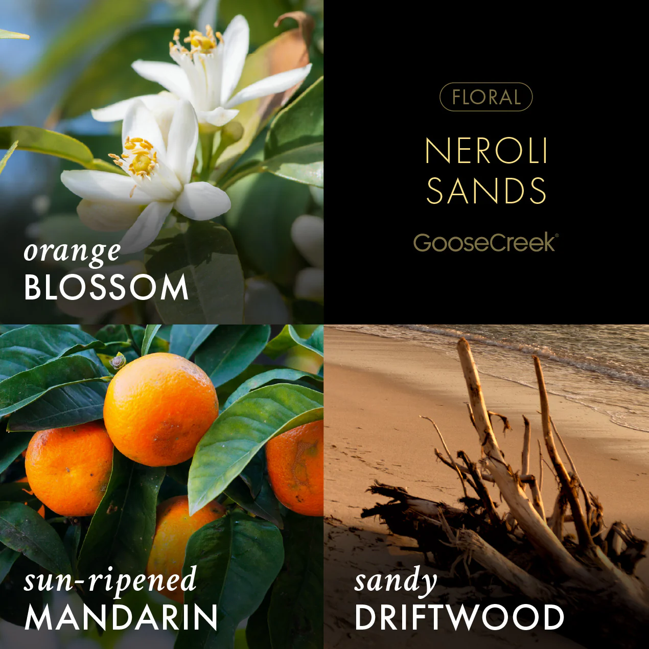 Neroli Sands- Fine Fragrance Body Mist - Image 2