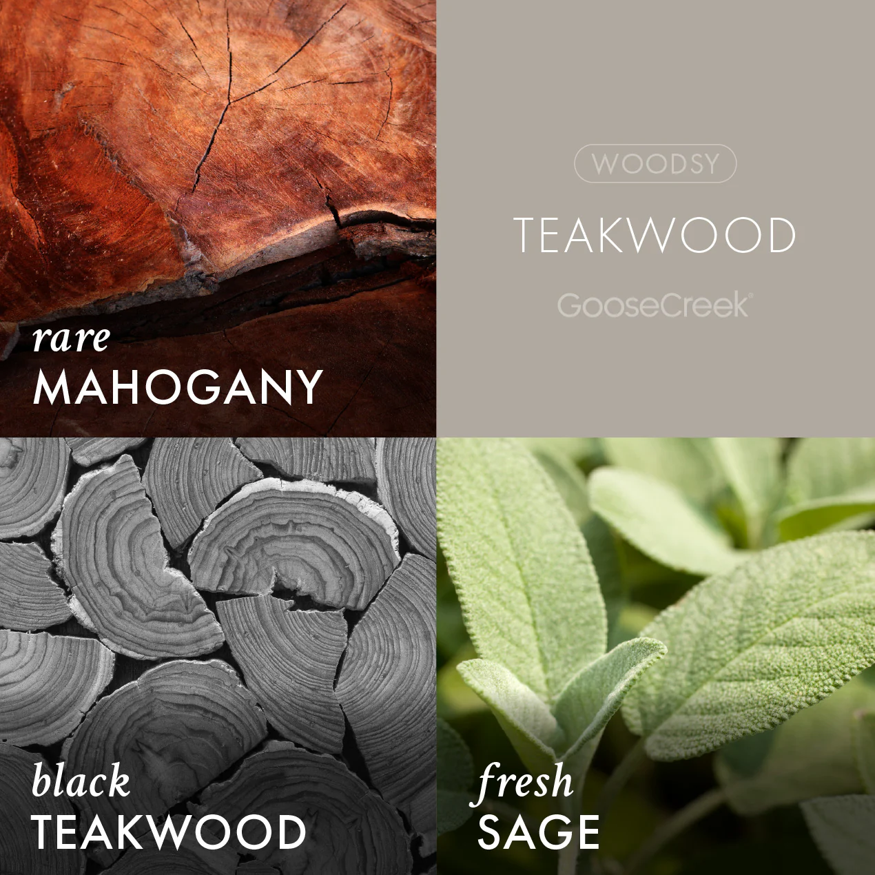 Teakwood Odor Eliminating Plug-in Refill - Image 2