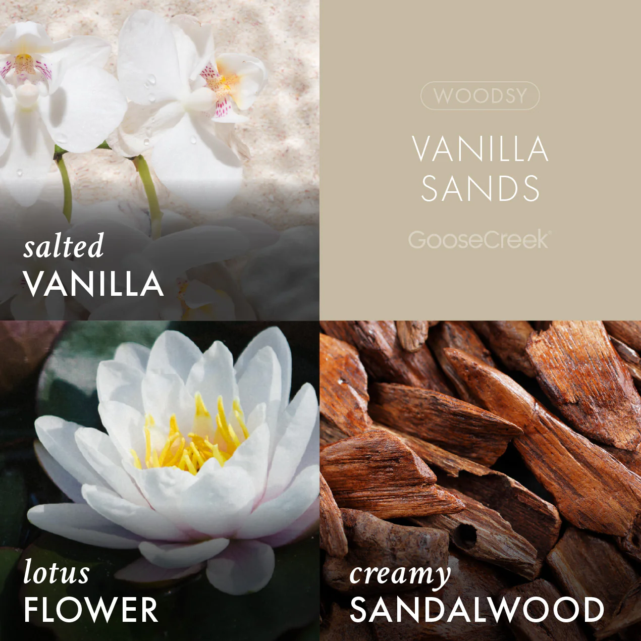 Vanilla Sands Plug-in Refill - Image 2